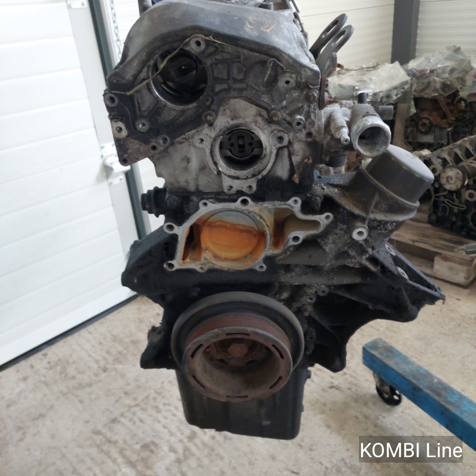 IMG_20250307_085130_23