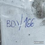 IMG_20250403_112110