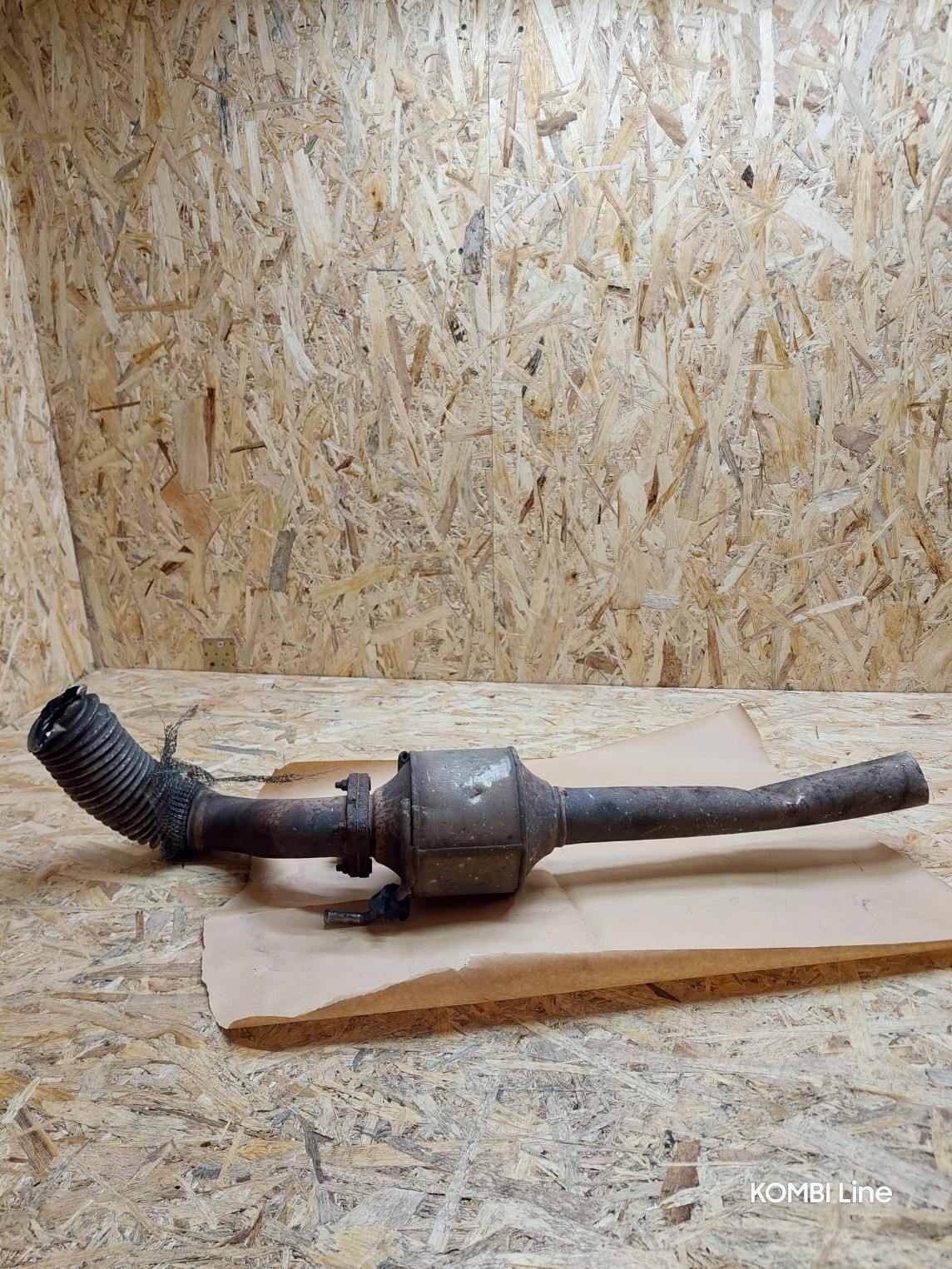 20250219_125059_copy_1144x1525