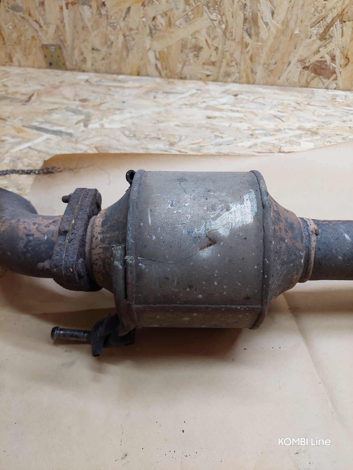 20250219_125105_copy_1144x1525