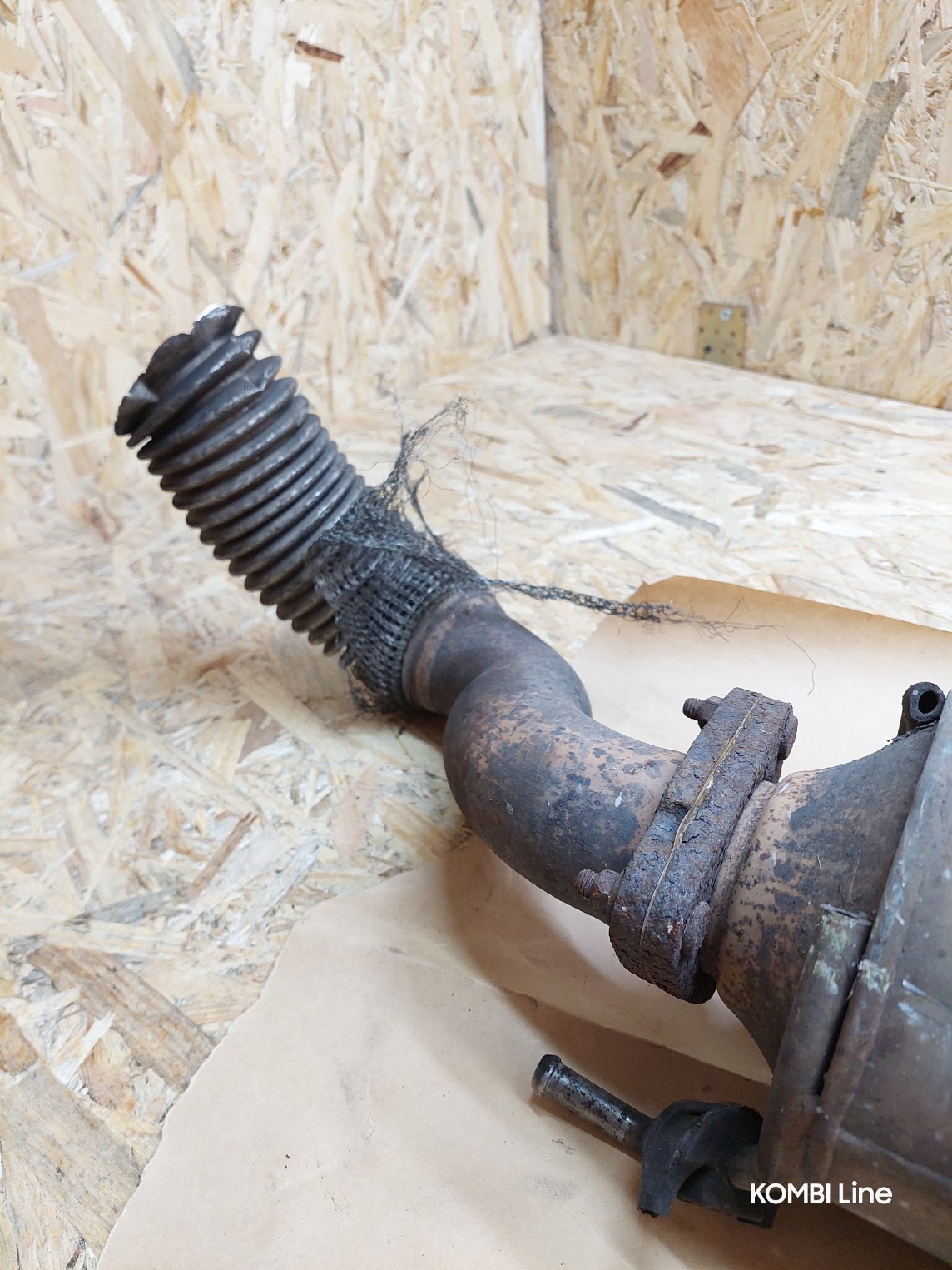 20250219_125109_copy_1144x1525