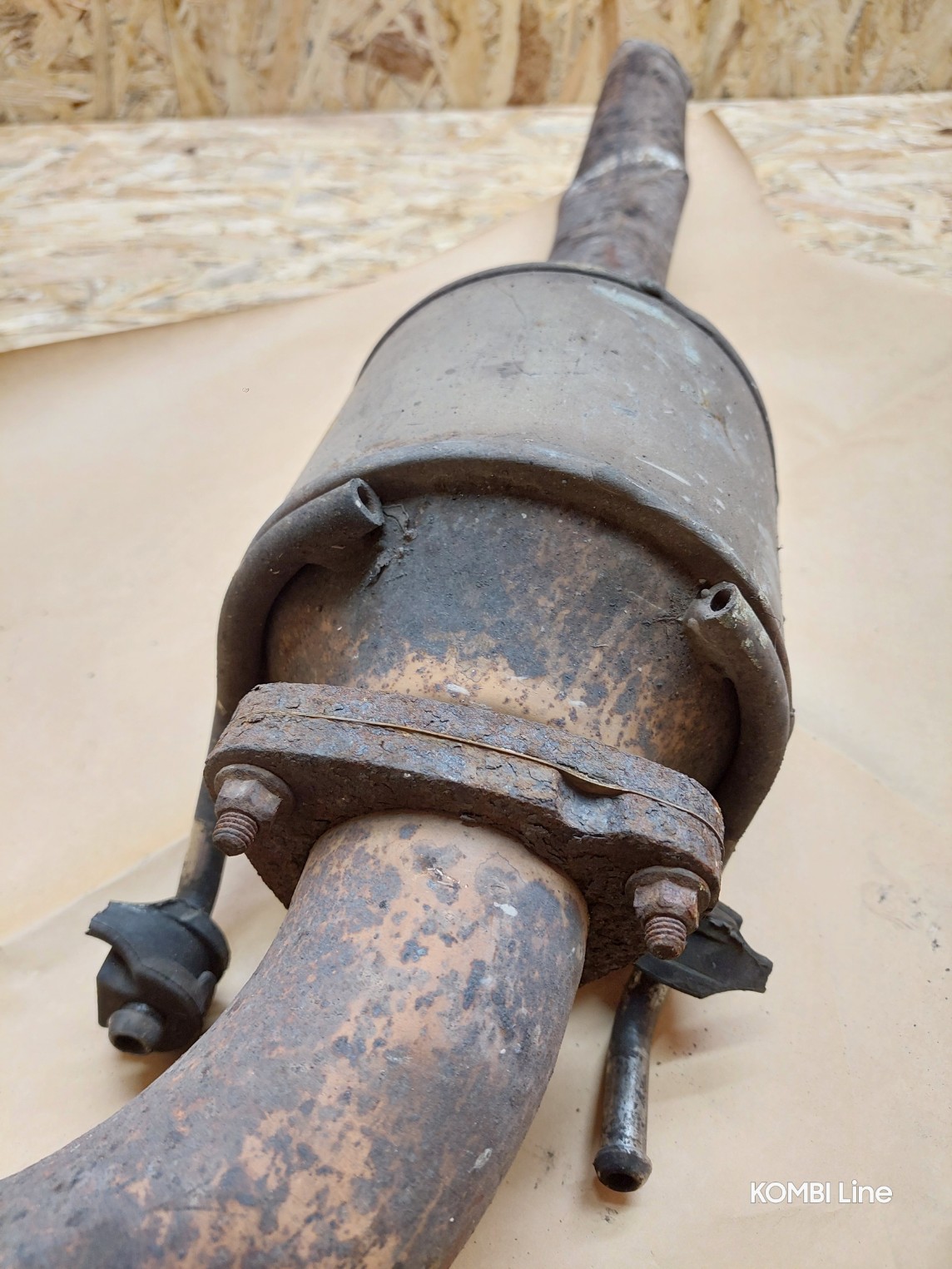 20250219_125128_copy_1144x1525