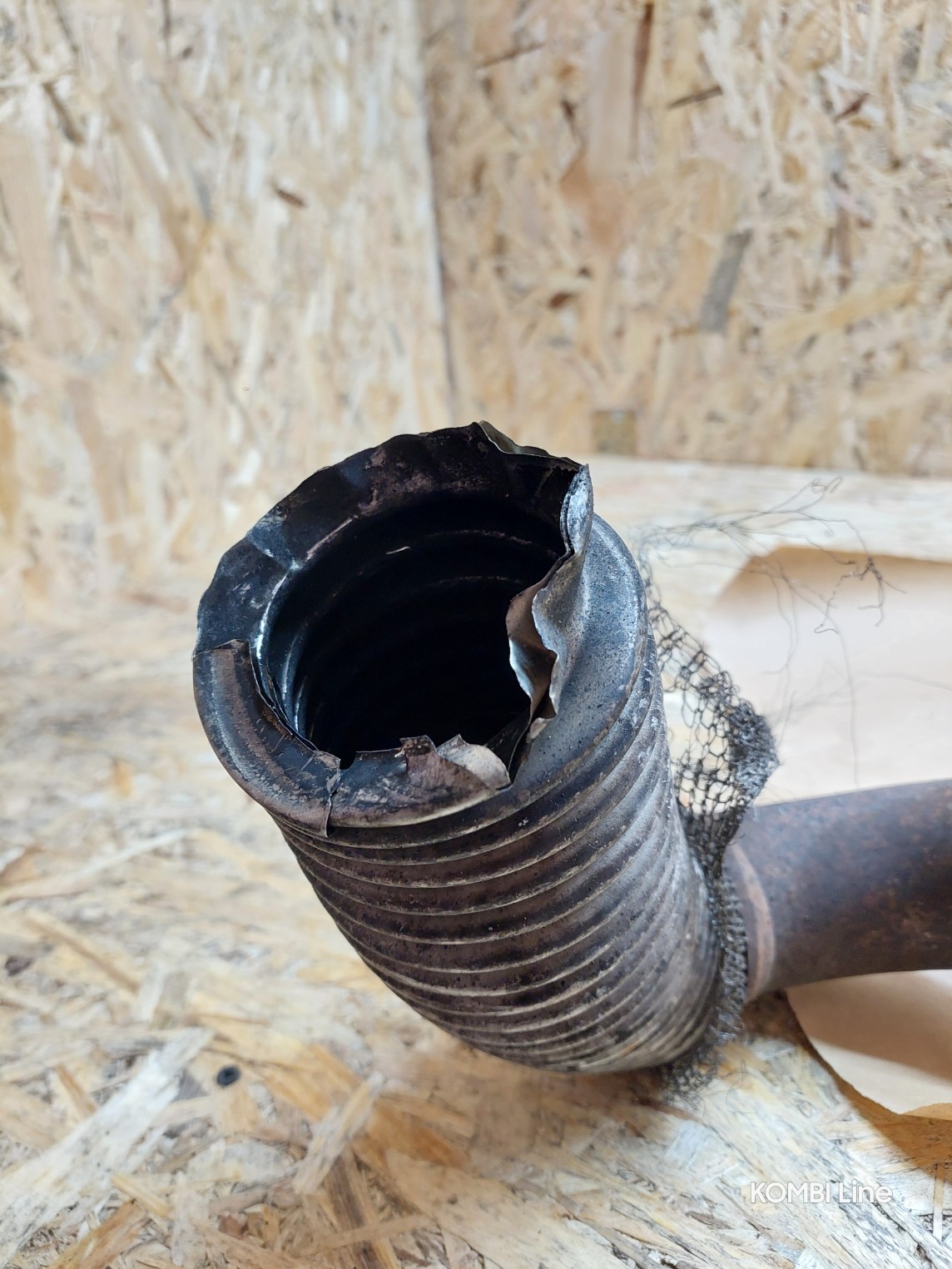 20250219_125134_copy_1144x1525