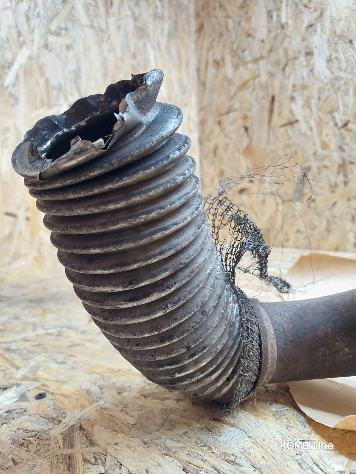 20250219_125141_copy_1144x1525