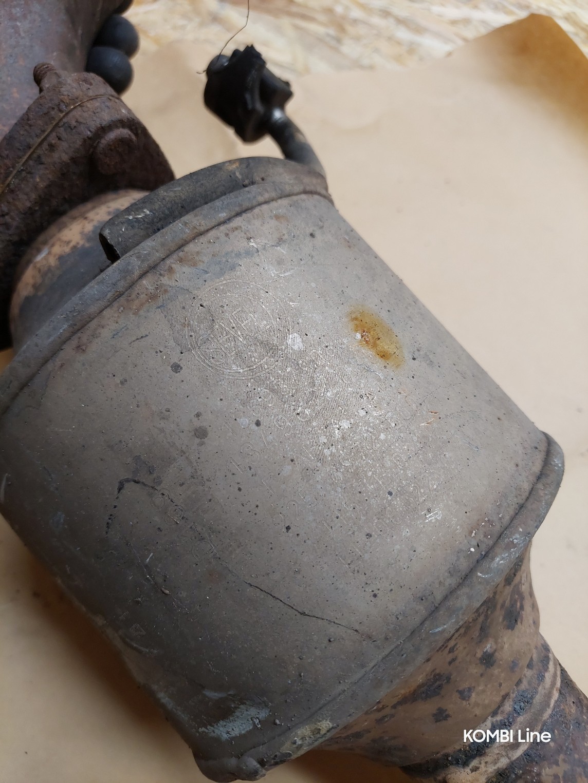 20250219_125158_copy_1144x1525