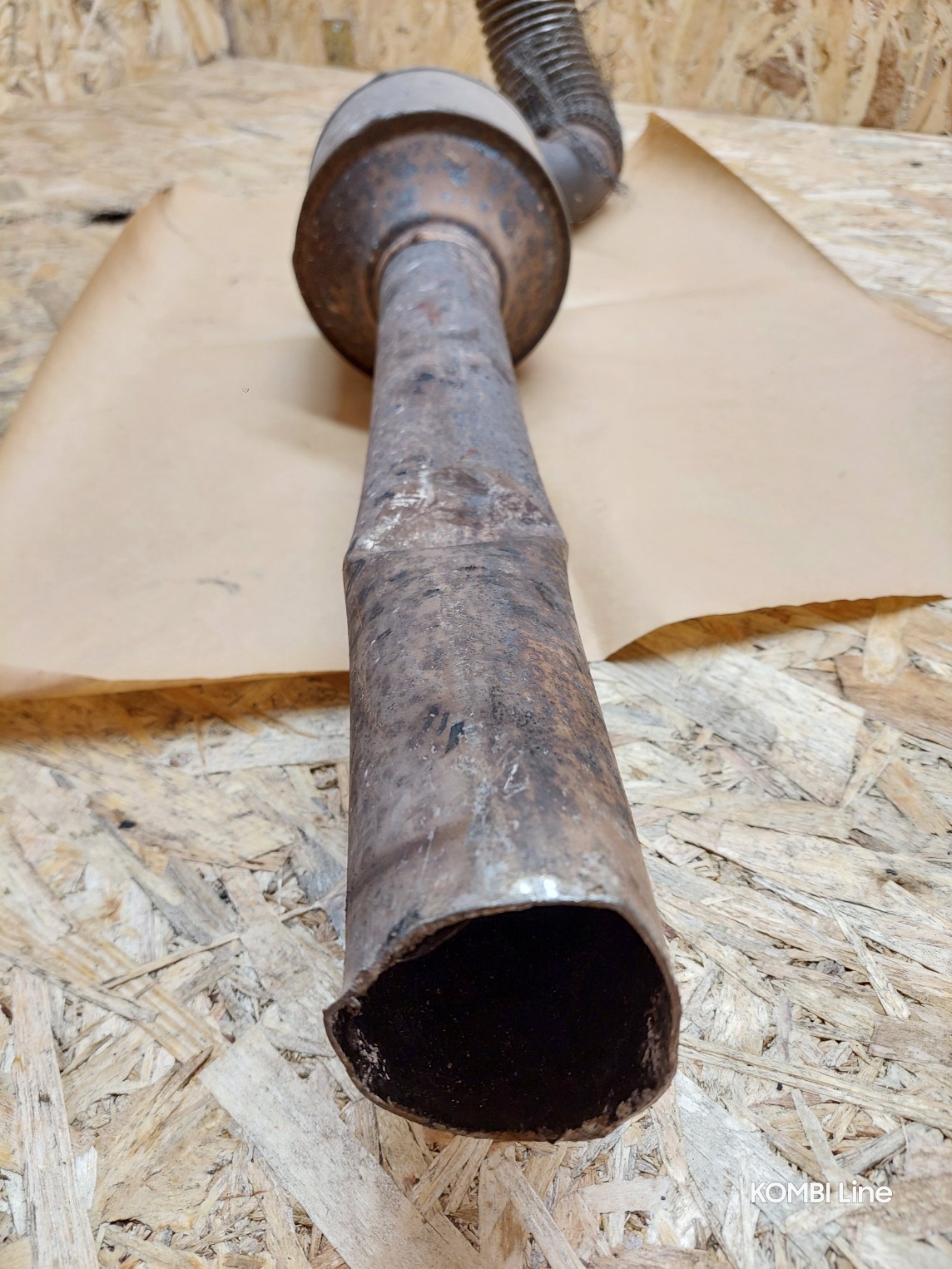 20250219_125338_copy_1144x1525